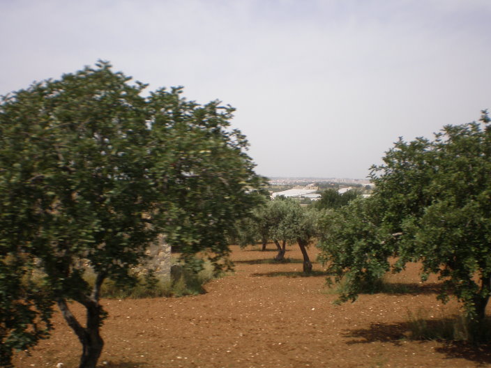 sicile 2008 211.jpg